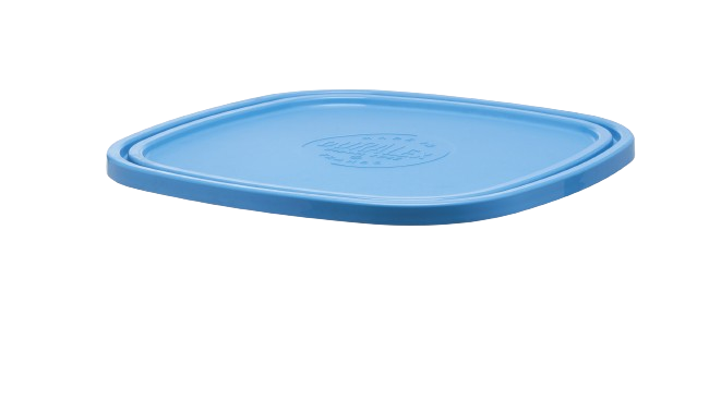 Freshbox - Couvercle Bleu carré - 23cm