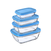 Freshbox - Juego de 4 cajas rectangulares de almacenaje multitamaño