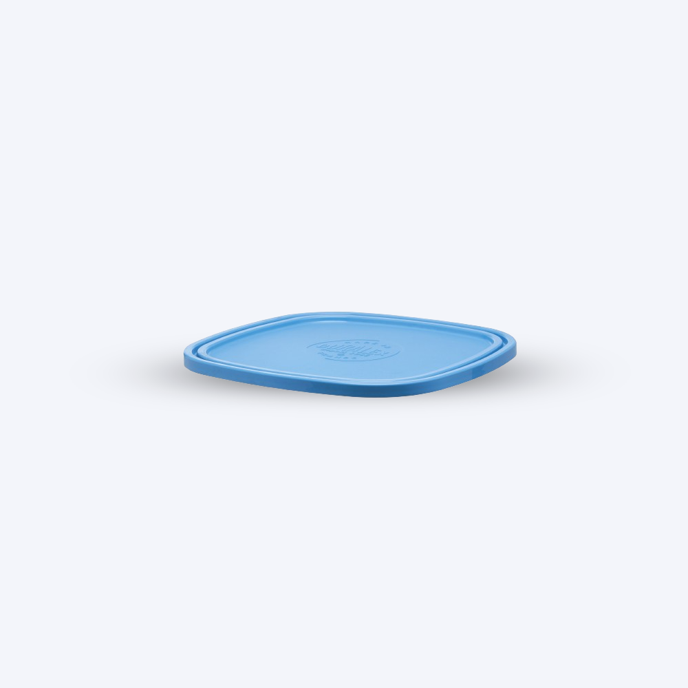 Freshbox - Blue square lid - 23cm